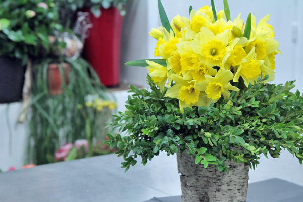 Bouquet de jonquilles