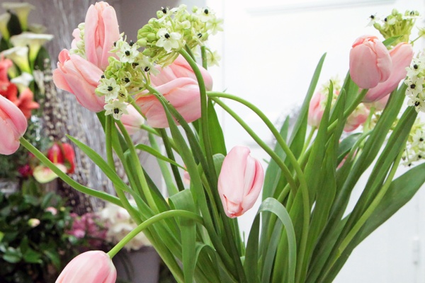 video-bouquet-tulipes-1200x680 (1) Bouquet de Tulipes