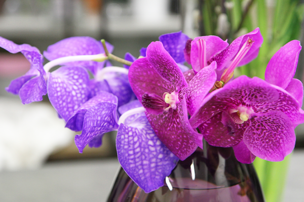 Bouquet rond en cage