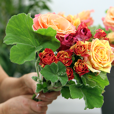 photo_mains_roses_400x400