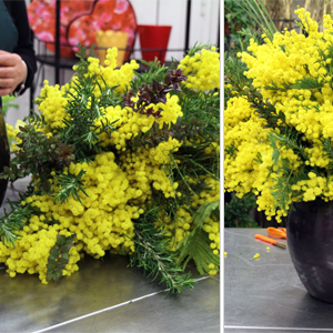 page4-petit page4-petit