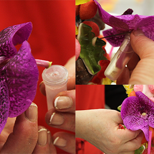 sapin-bonbons-page7-petit-1 sapin-bonbons-page7-petit-1