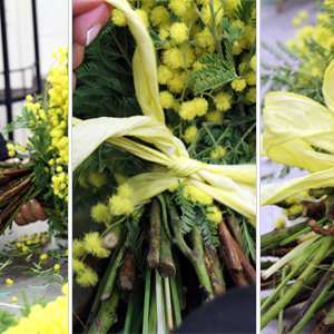 page3-petit page3-petit