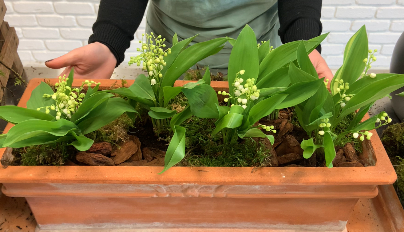 Tuto Muguet
